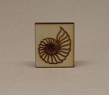 Bild "Stempel Ton und Seife:Ammonit-350.jpg"